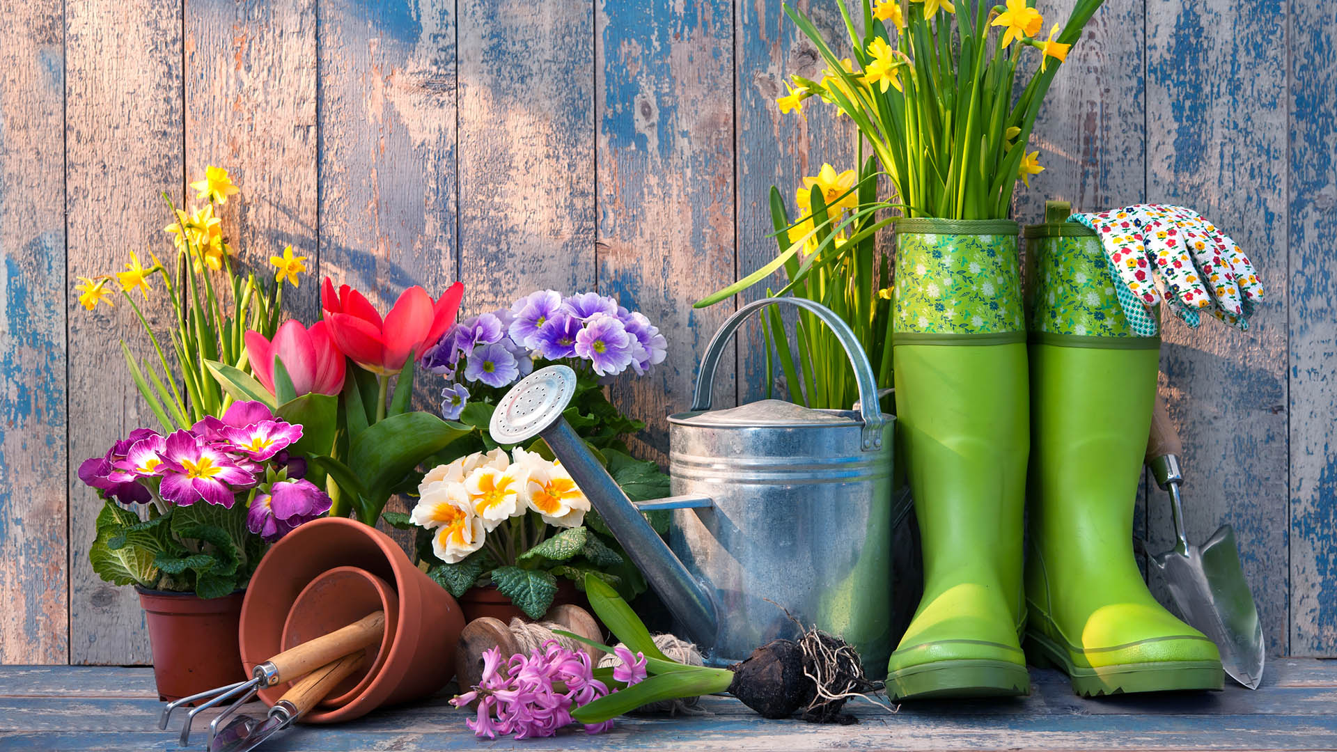 Flores y articulos de jardineria